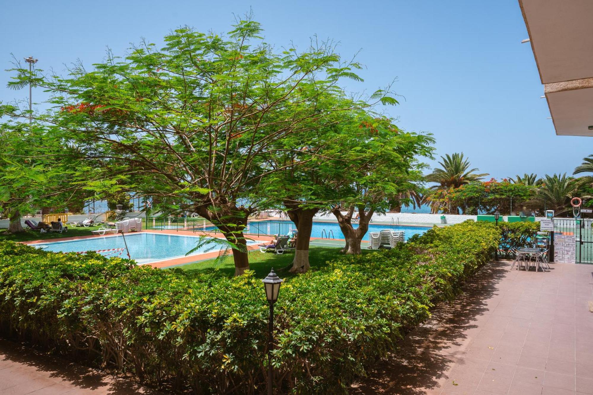 Go2Tenerife Apart'Dida Pool & First Line Of The Sea Los Cristianos  Exterior photo